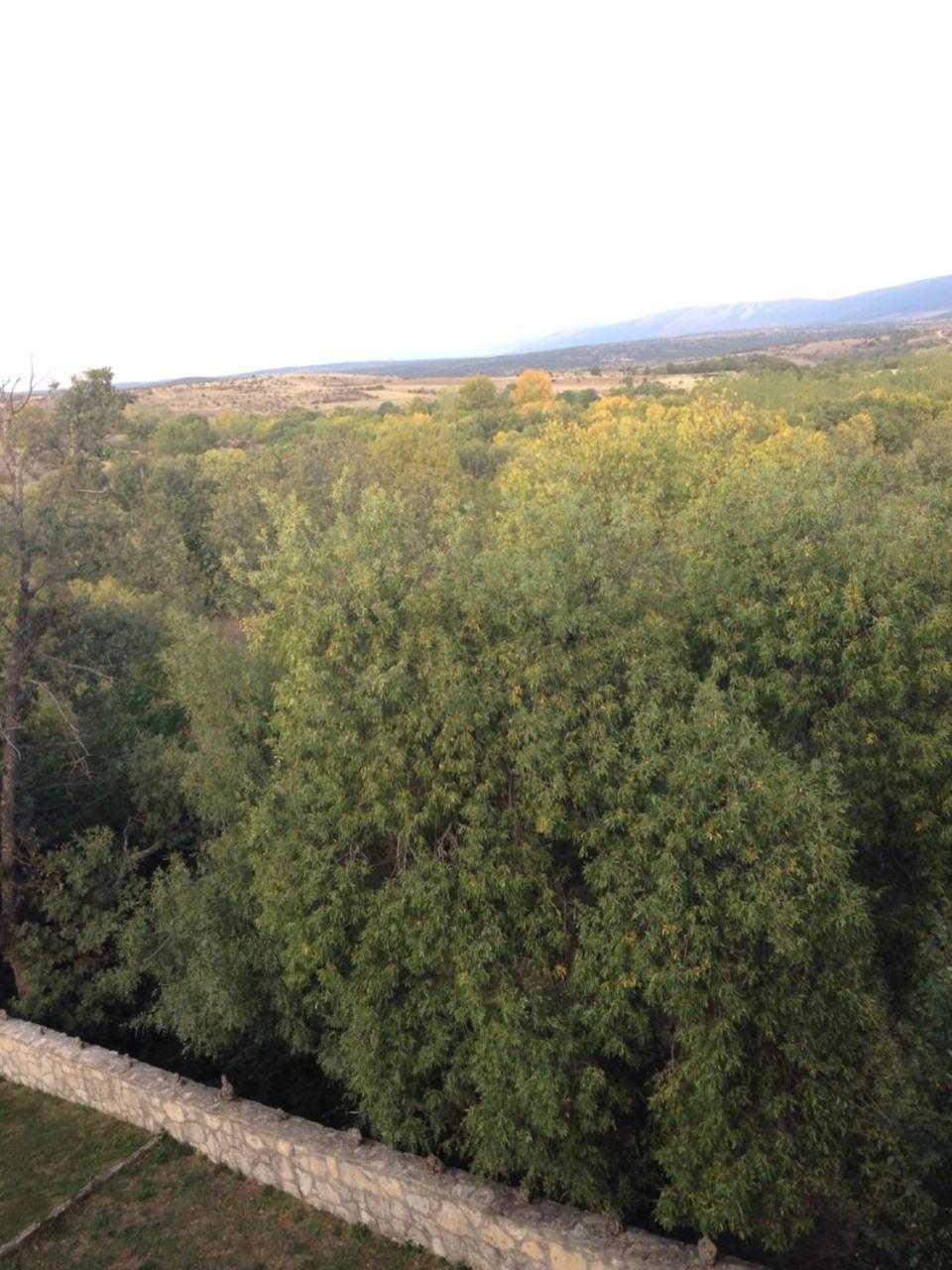 Apartamento Rural La Muralla De Pedraza Chavida Extérieur photo
